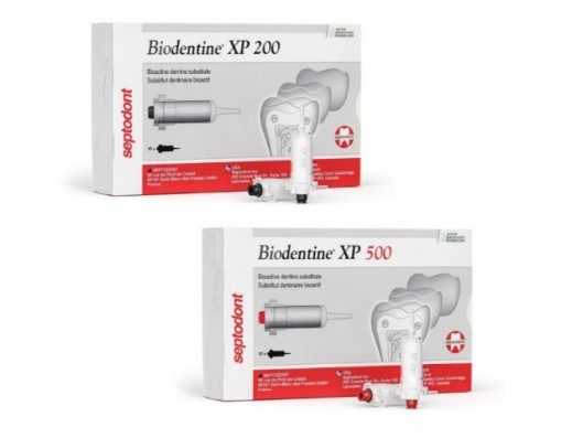 BIODENTINE XP 10u.