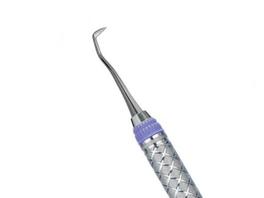 RASPADOR JACQUETTE...