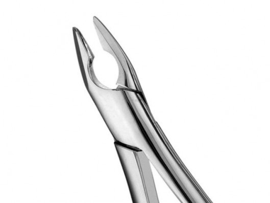 FORCEPS APICAL ANTERIOR,...