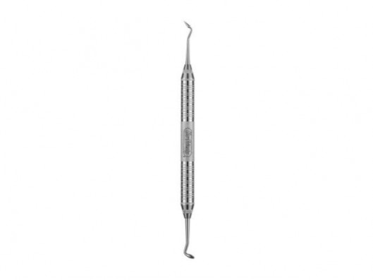 CVHL66 TALLADOR HOLLENBACK...