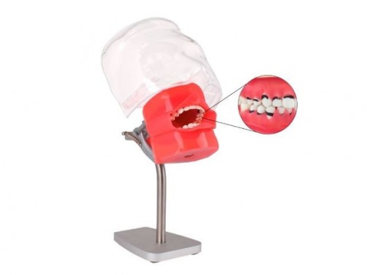 FANTOMA DE PERIODONCIA PARA...