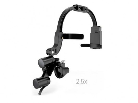 LUPA DENTAL DR. KING 2.5X