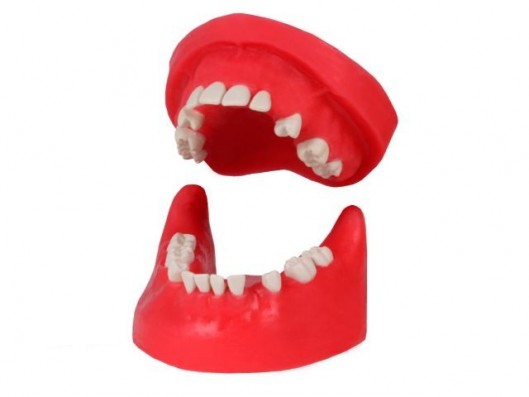 TIPODONTO QUIRÚRGICO