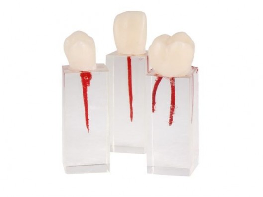 SET DE DIENTES ENDO PARA...