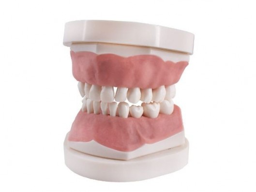 TIPODONTO INFANTIL AK6  CON...