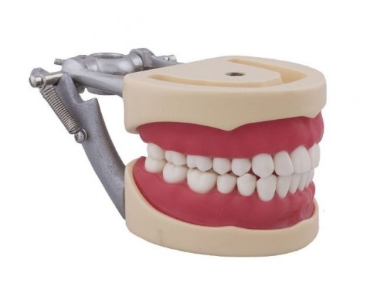 TIPODONTO COMPATIBLE...