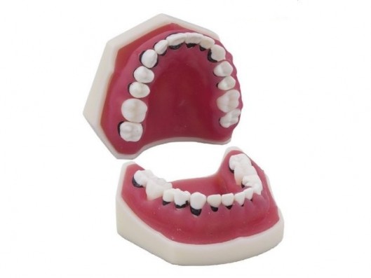 TIPODONTO DE PERIODONCIA...