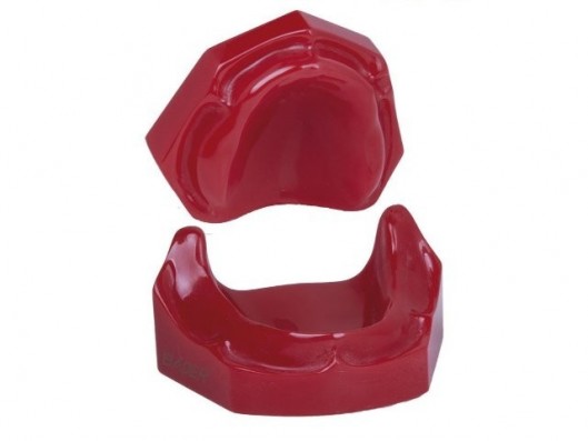 MODELO DESDENTADO CON PLETINA