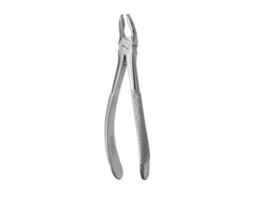 FORCEPS ANTERIOR SUPERIOR...