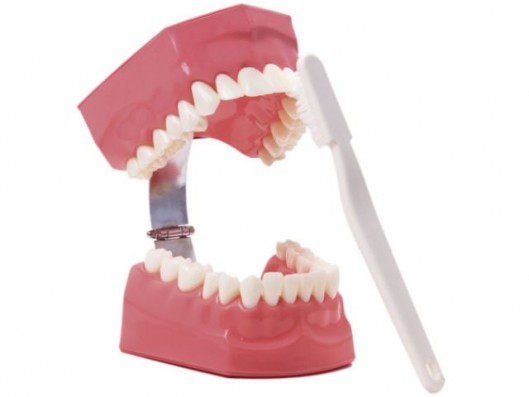 MACROMODELO BODYON CON CEPILLO