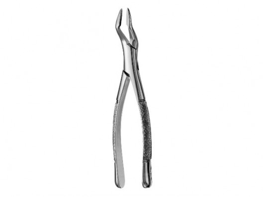 FORCEPS PARMLY ALVEOLAR F32A