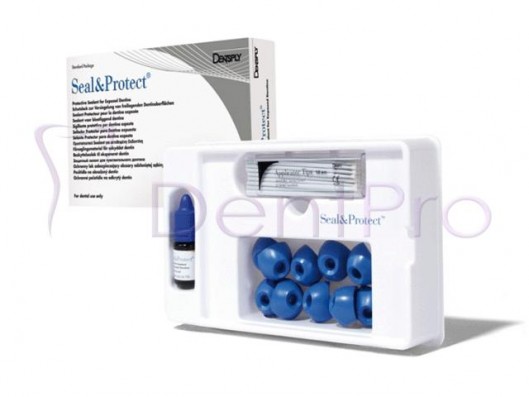 SEAL & PROTECT KIT
