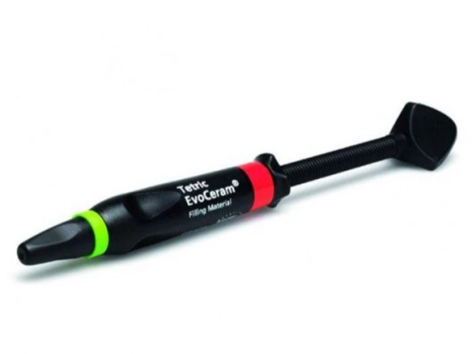 TETRIC EVOCERAM DENTINA...