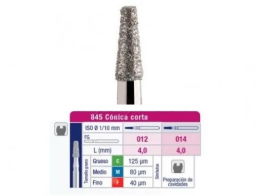 FRESA DE DIAMANTE FG 845...