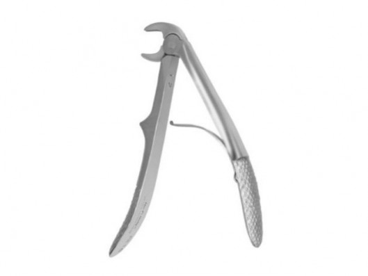 FORCEPS NIÑO ANTERIOR FX1CE