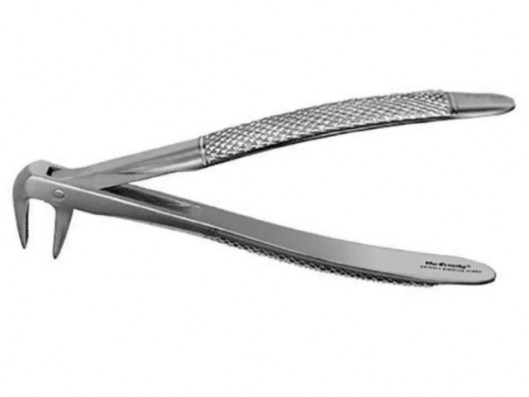 FORCEPS ANTERIORES FX74NE