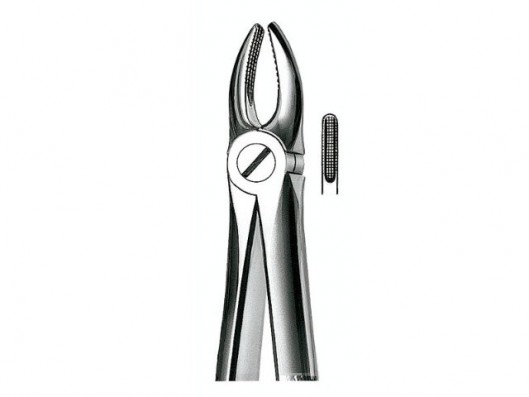 E1 FORCEPS DENTAL N.1 PARA...