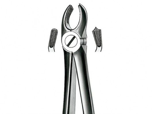 E17 FORCEPS DENTAL N.17...