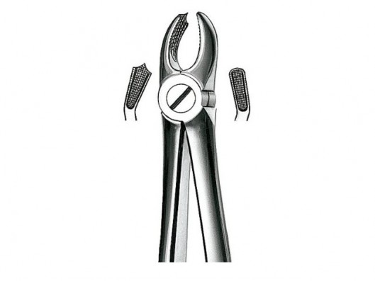E18 FORCEPS DENTAL N.18...