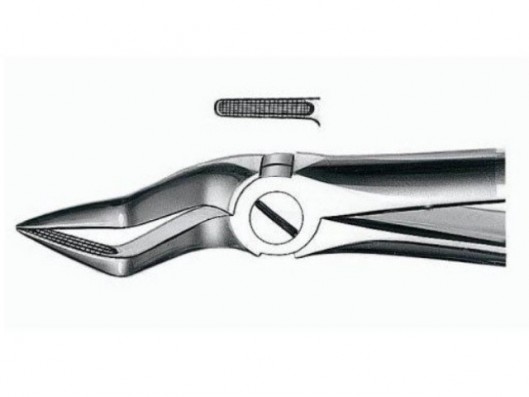 E51A FORCEPS DE EXTRACCIÓN...