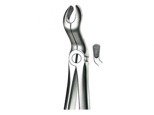 E67A FORCEPS DENTAL N.67A...