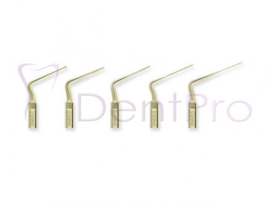 PUNTAS ENDO PROULTRA...