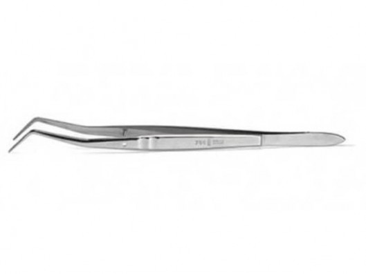 CARL MARTIN PINZA DE...