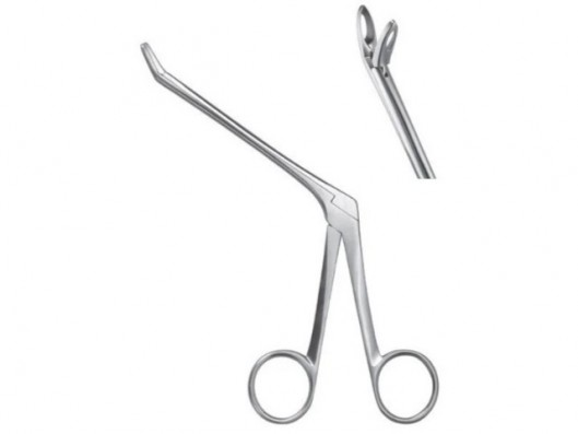 CARL MARTIN PINZA TOMATI...