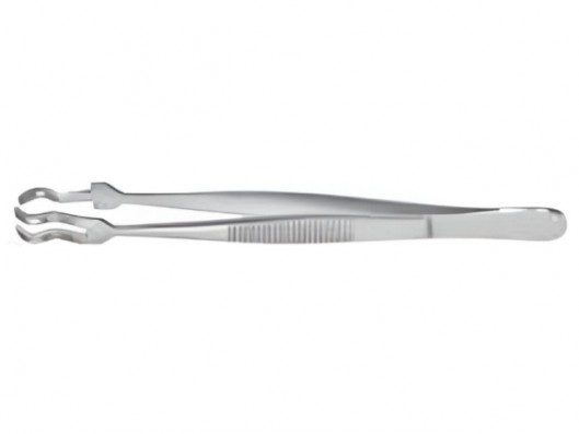 CARL MARTIN PINZA DE...