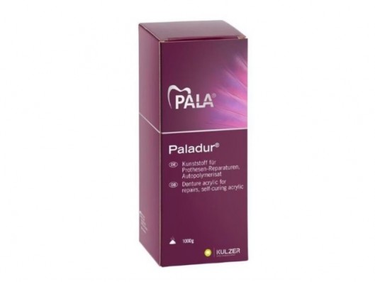 PALADUR RESINA POLVO 1 Kg.