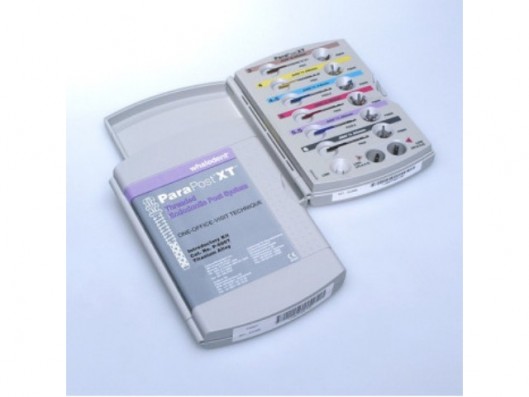 PARAPOST XT TITANIO KIT 25u.