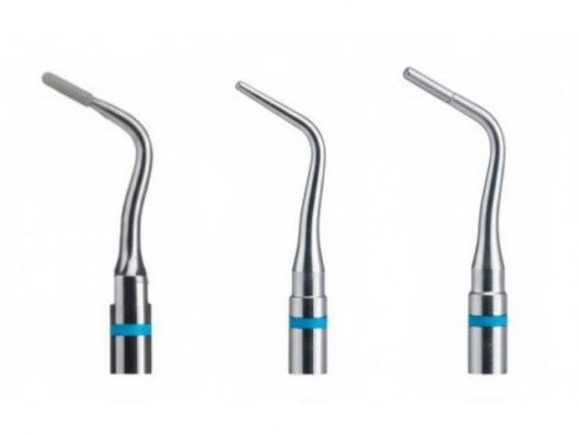 INSERTO DE RESTAURACIÓN...