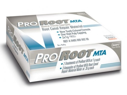 PRO ROOT REPOSICIÓN (2...