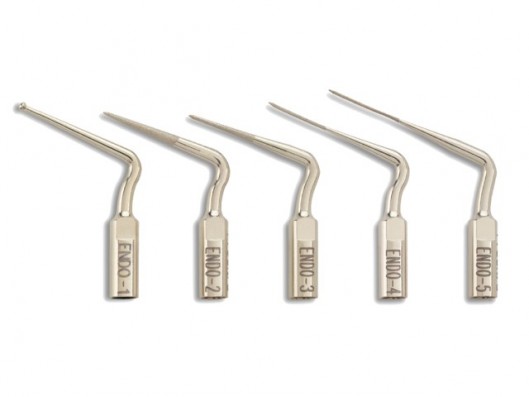 PUNTAS ENDO PROULTRA...