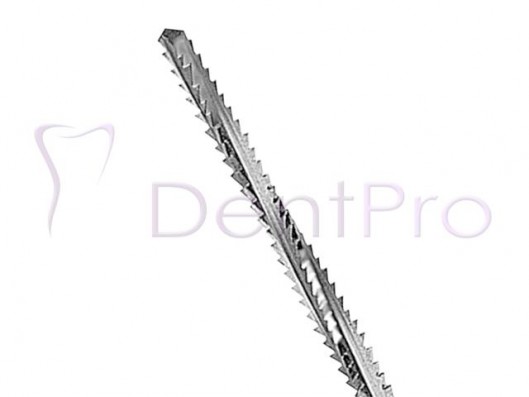 FRESA LINDEMANN MEDIA