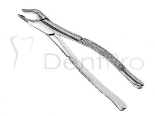 FORCEPS APICAL INFERIOR...