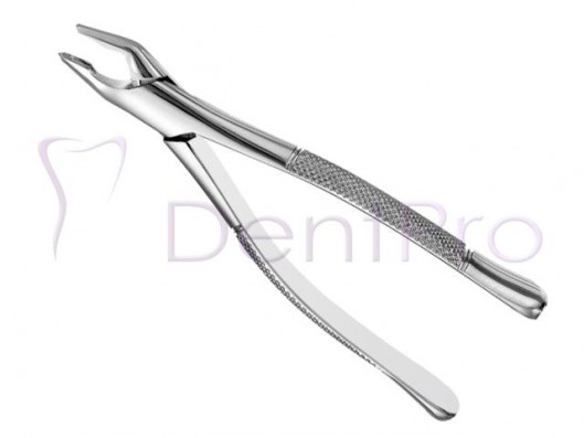 FORCEPS APICAL SUPERIOR...