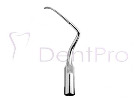 INSERTO PIEZO PERIO...