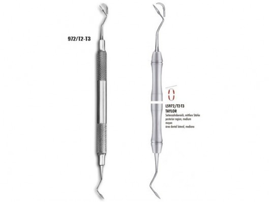 RASPADOR TAYLOR 972/T2-T3 1u.