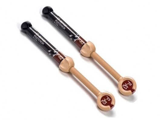 PA2-PA3 GAENIAL POSTERIOR...