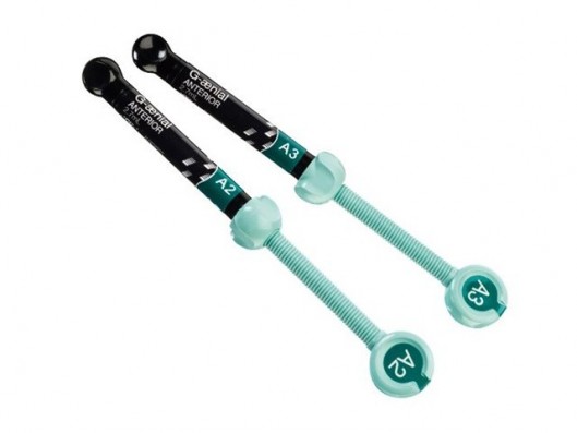 A2-A3 GAENIAL ANTERIOR JER....