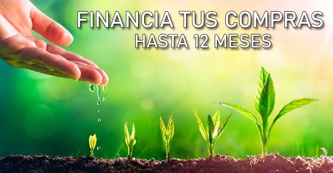 Oferta